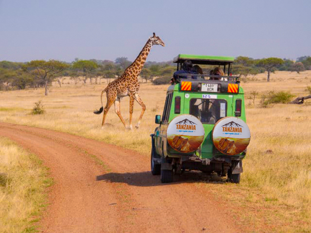 Inexpensive Safari Trip 
